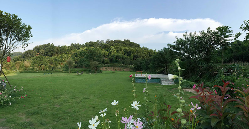 缘道院子草坪全景