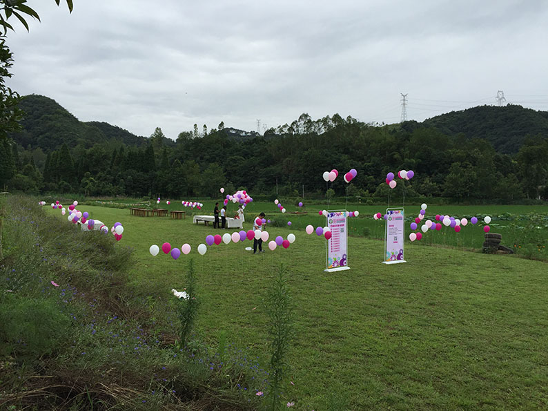 草坪婚礼